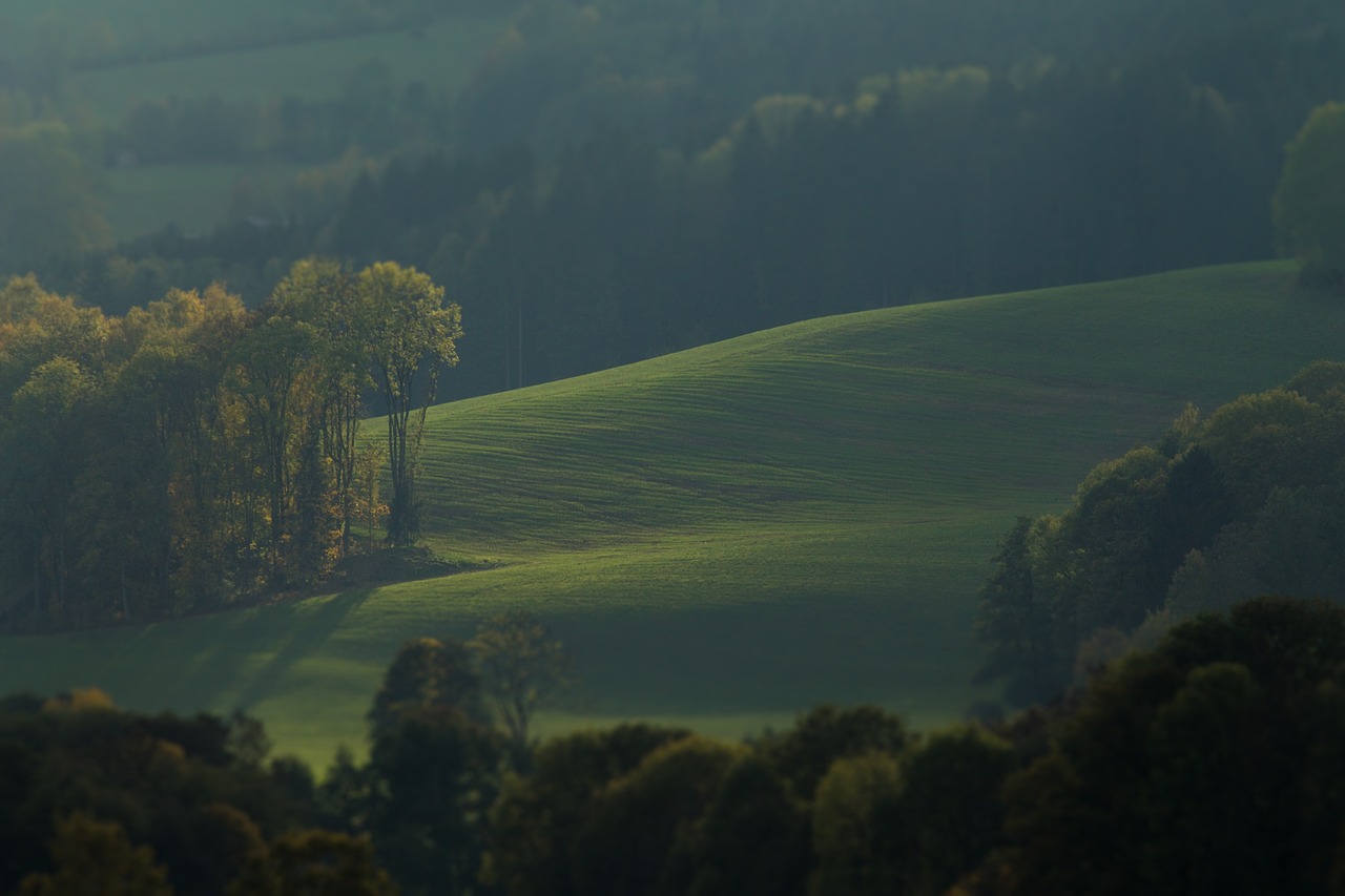 meadow, trees, landscape, nature, rural, summer, fall, green, field, hill, idyllic, venom design, fall, green, green, green, green, green